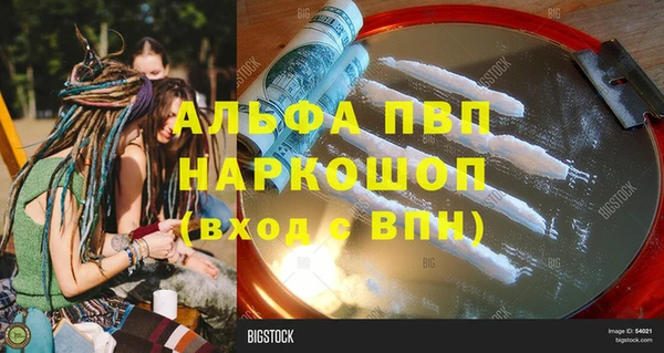 ECSTASY Пересвет