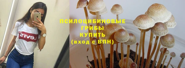 ALPHA PVP Арсеньев